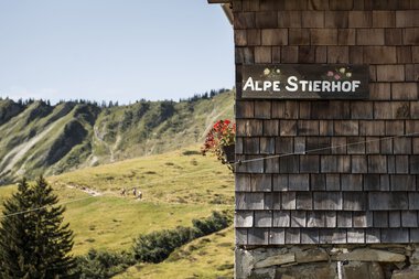 Blick auf die grüne Landschaft mit Berghängen im Hintergrund, neben einer Holzhütte mit Schild 'Alpe Stierhof' und einen Blumenkasten. | © Kleinwalsertal Tourismus eGen • Fotograf: Andre Tappe