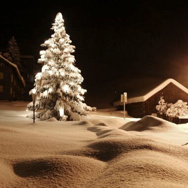 Winterliche Nacht in Mittelberg mit verschneitem Baum und schneebedecktem Gelände, beleuchtet durch Straßenlampe. | © Kleinwalsertal Tourismus eGen
